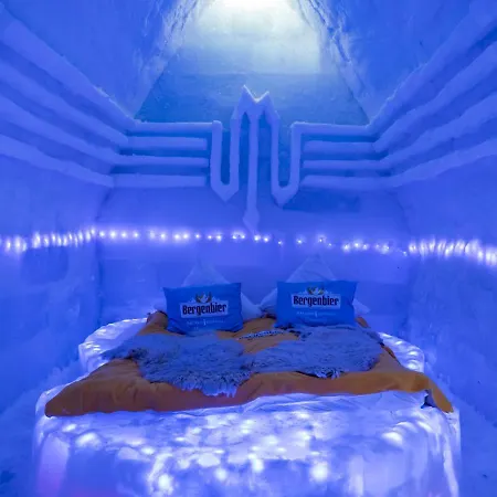 Hotel Of Ice Transylvania Cârțișoara Exterior photo